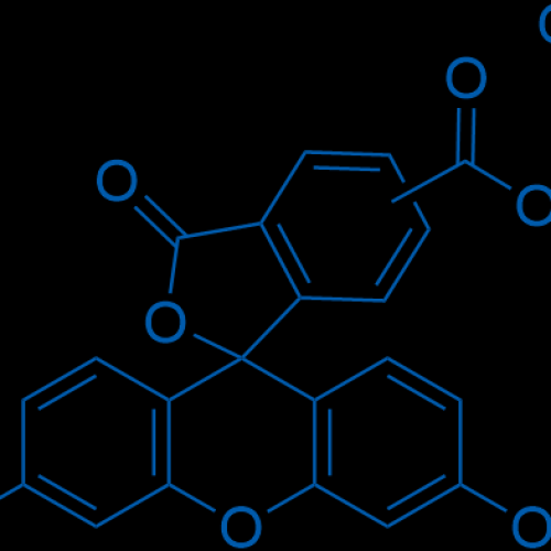 5(6)-Carboxyfluorescein diacetate succinimidyl ester