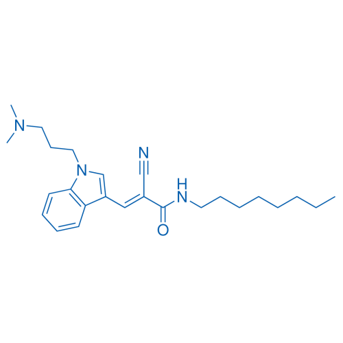 2-Cyano-3-(1-(3-(dimethylamino)propyl)-1H-indol-3-yl)-N-octylacrylamide