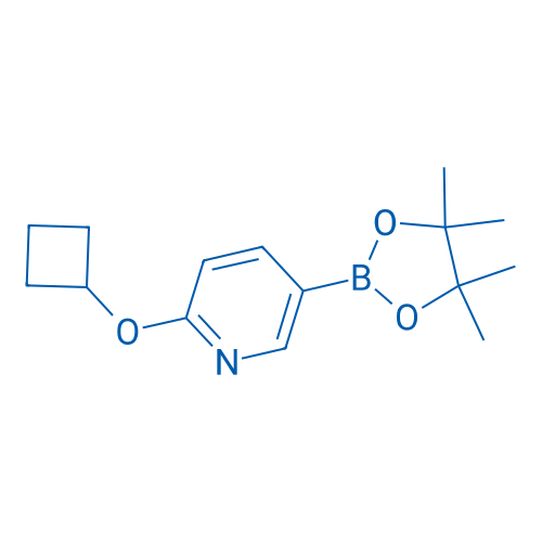 2-Cyclobutoxy-5-(4,4,5,5-tetramethyl-1,3,2-dioxaborolan-2-yl)pyridine