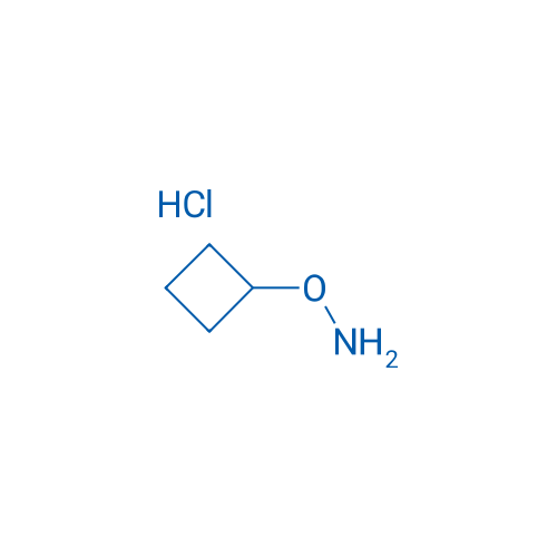 O-Cyclobutylhydroxylamine hydrochloride