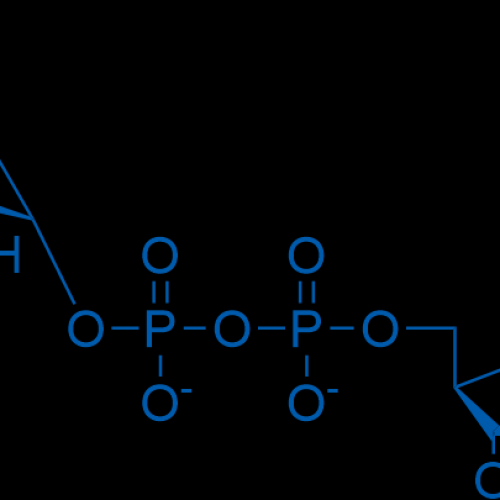 Uridine-5'-diphospho-a-D-galactose disodium salt